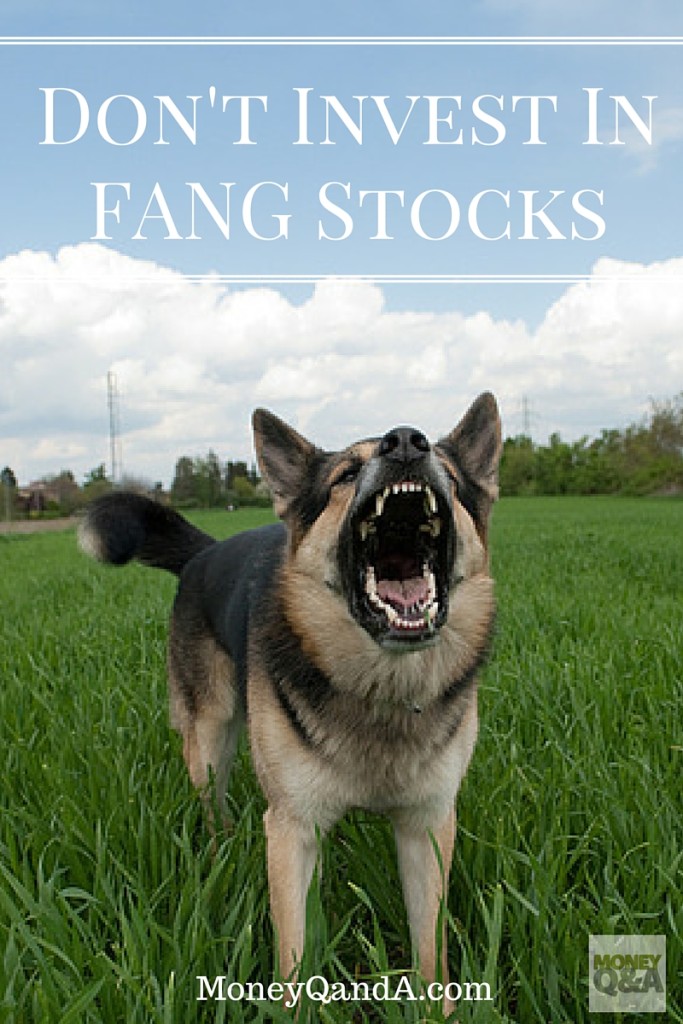 What are FANG stocks?