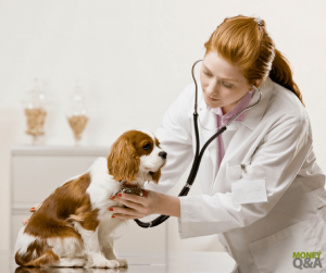 Pet Preventative Care Can Save You a Fortune on Vet Bills