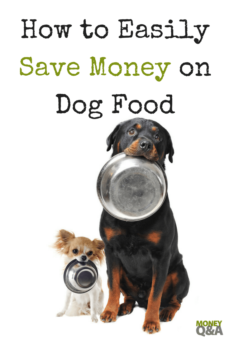 How to Save Money on Dog Food